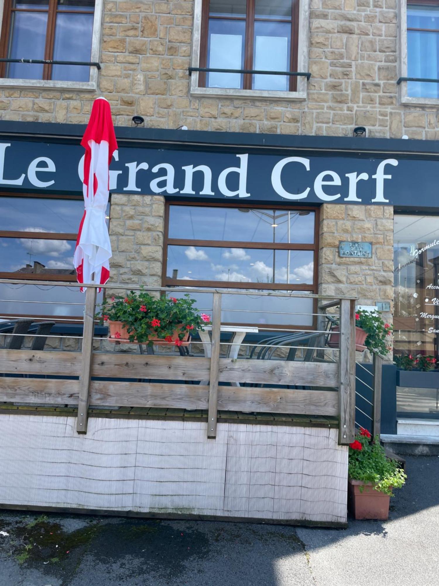 Отель Le Grand Cerf Carignan Экстерьер фото